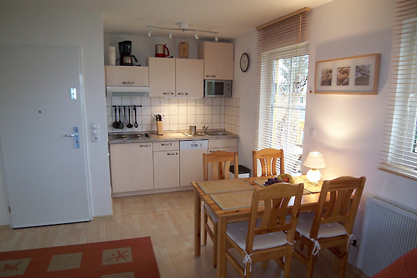 Wohnbereich mit Küche (inkl. Herd, Spühlmaschine, Mikrowelle, Kühlschrank